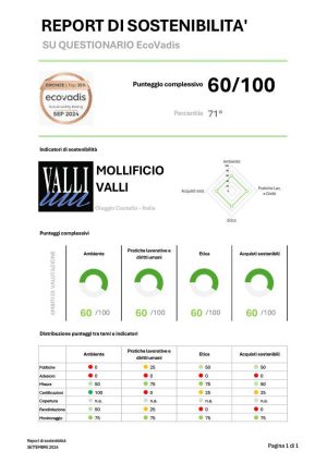 Report Sostenibilità Ecovadis 2024