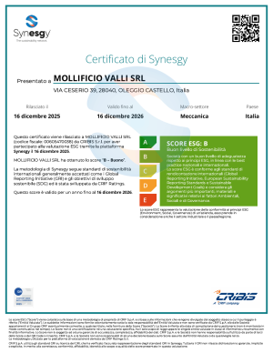 Survey Certificate ESG MOLLIFICIO VALLI